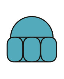 Domed Nuts